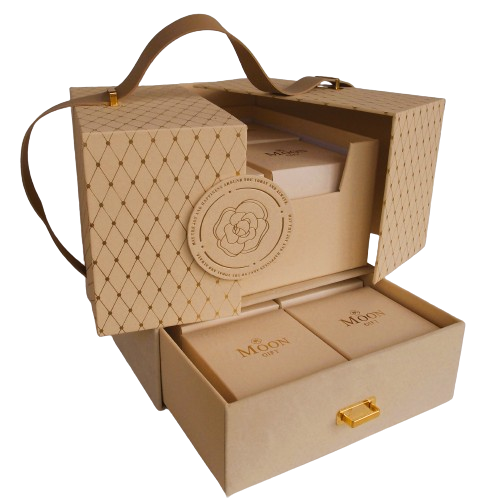 Food_Packaging_5-removebg-preview